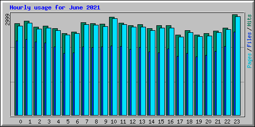 Hourly usage for June 2021