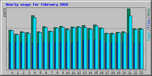 Hourly usage for February 2026